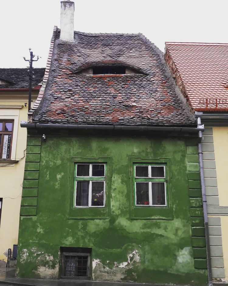 03-12-45-1647596706583768417