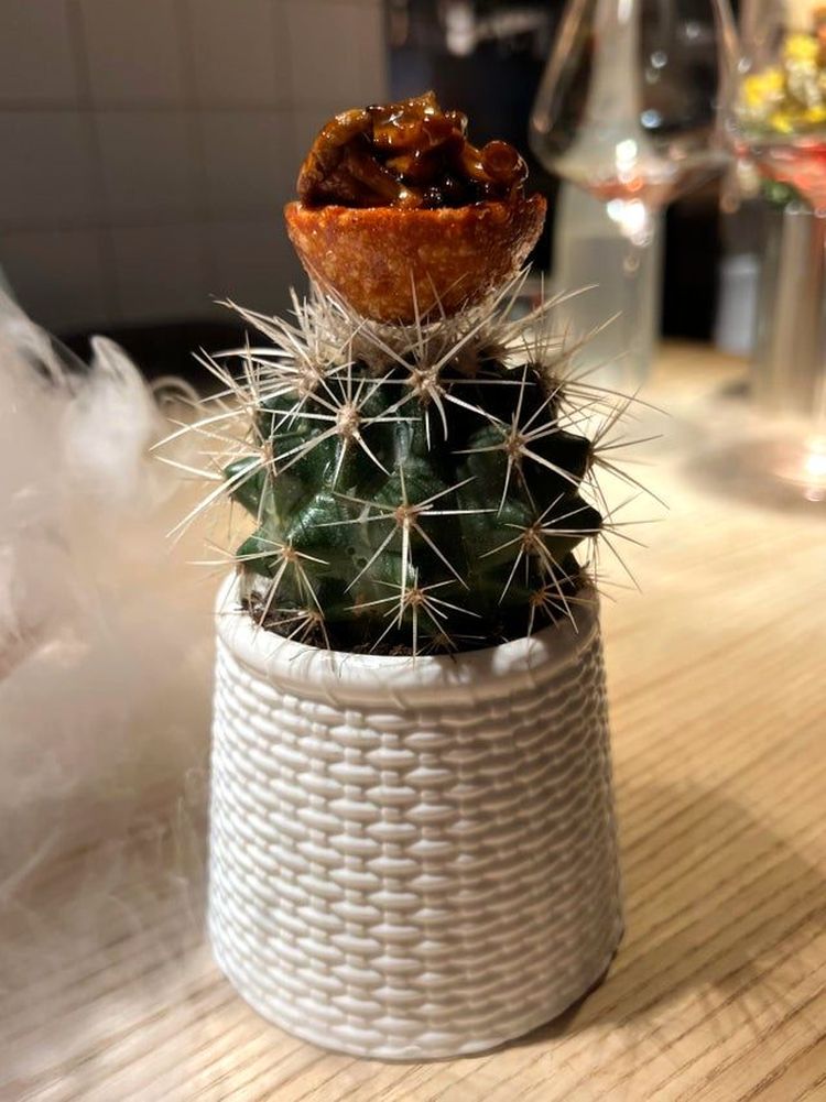 03-12-46-16463007691378232080