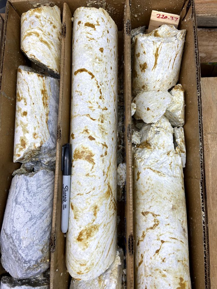 03-13-15-1648030533986586543