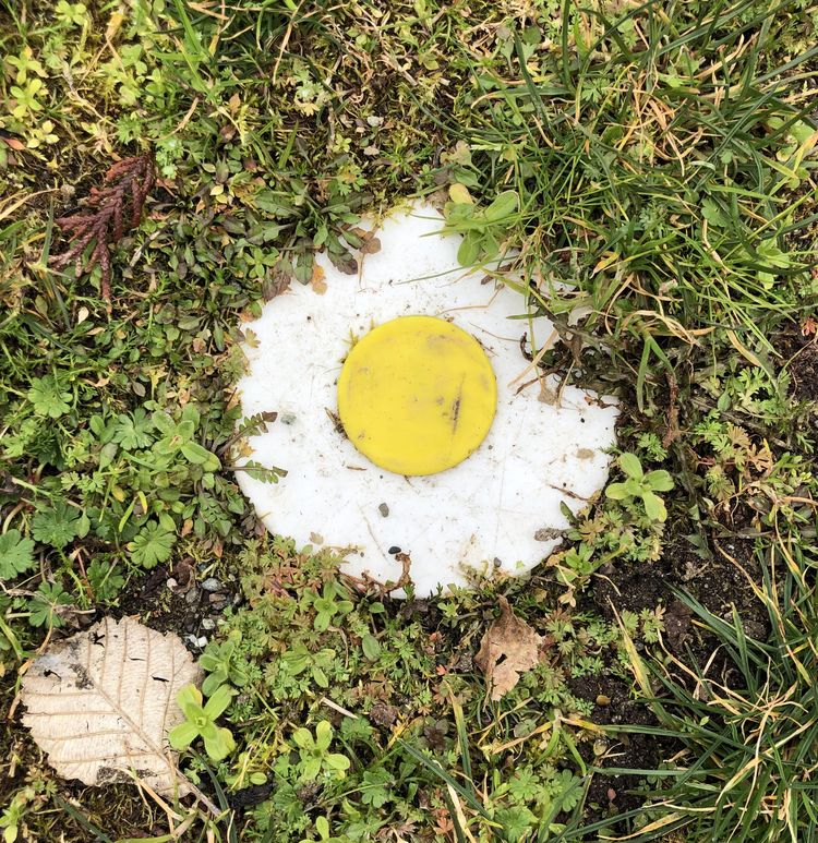 03-13-15-16480305382131717728