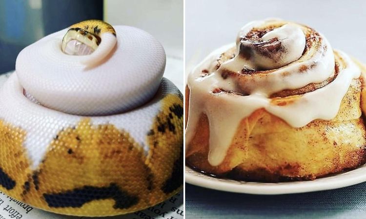 03-13-15-1648030541902872119