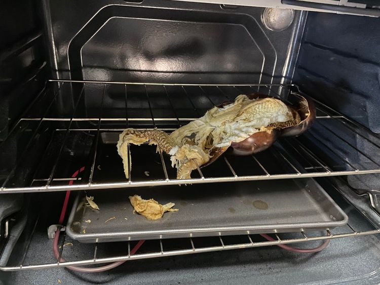 03-13-28-16461304931621196990