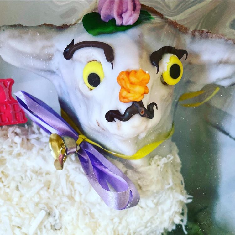 03-13-28-16461305141490839282