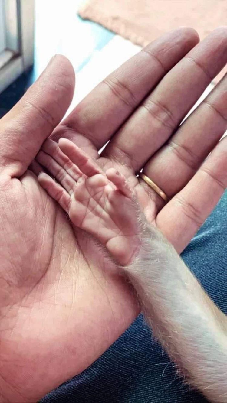 03-13-35-1646822119618291420