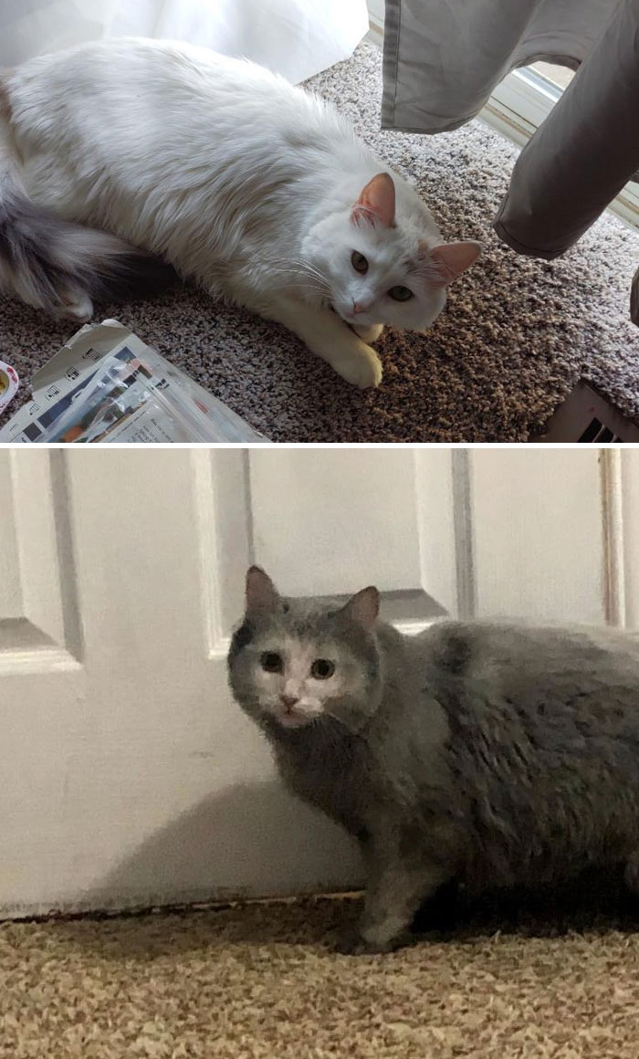 03-13-39-16468223751061362728