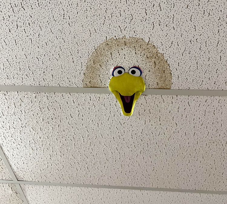 03-14-09-164846575922368071