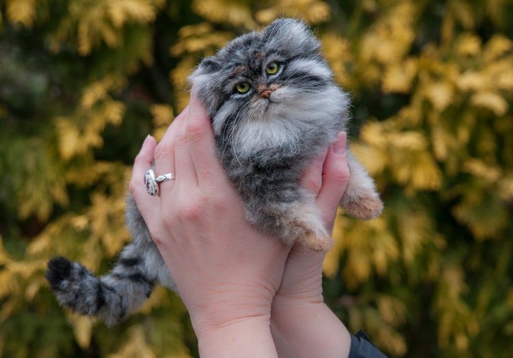 03-14-14-16462196701193703764