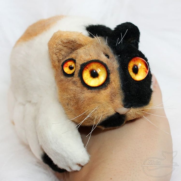 03-14-17-16462198211721718729