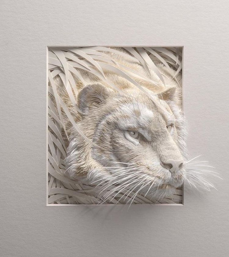 03-14-17-16462198312101293281