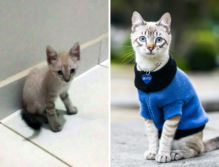 03-14-35-16479489001853963798