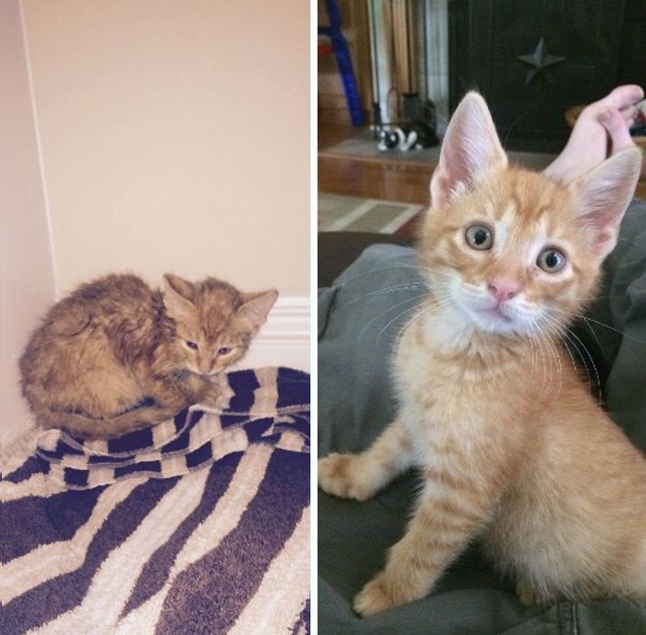 03-14-35-1647948906315686123