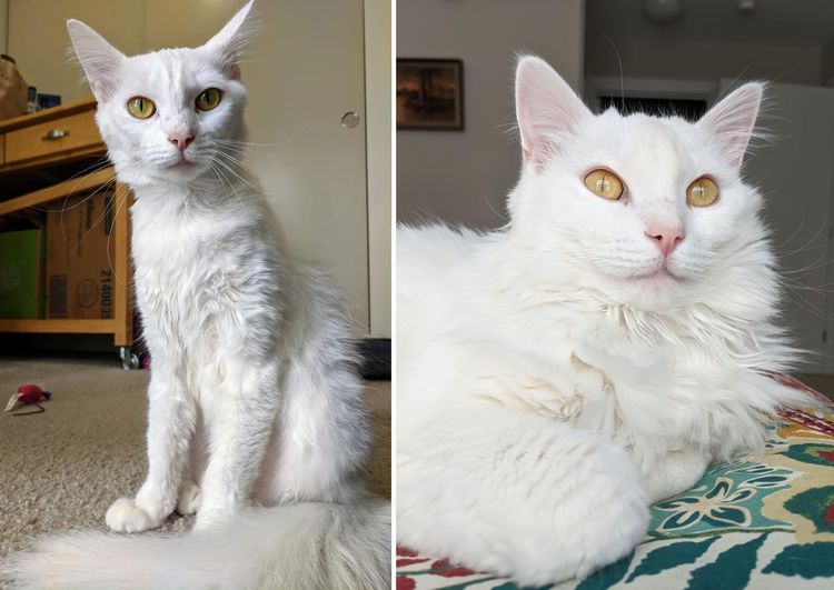 03-14-35-16479489451374827391