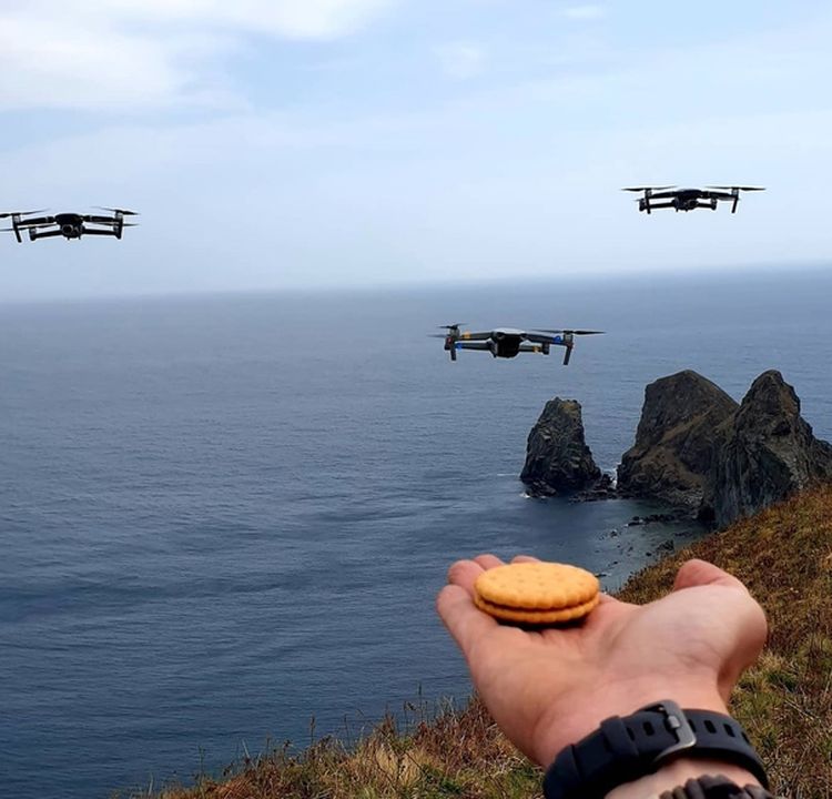 03-14-45-16480359282080262861