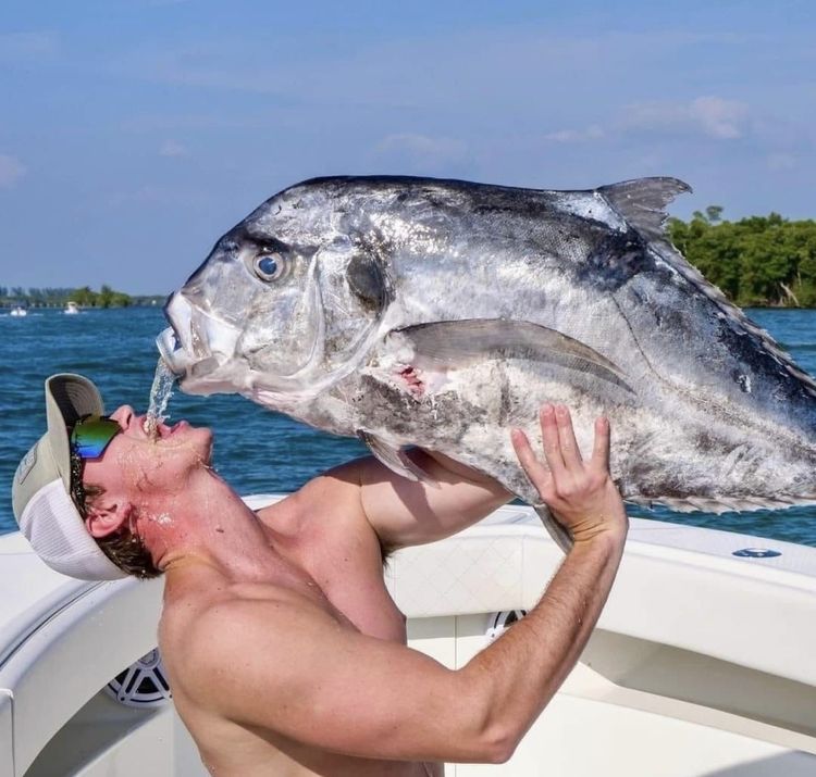 03-14-45-16480359401105765593