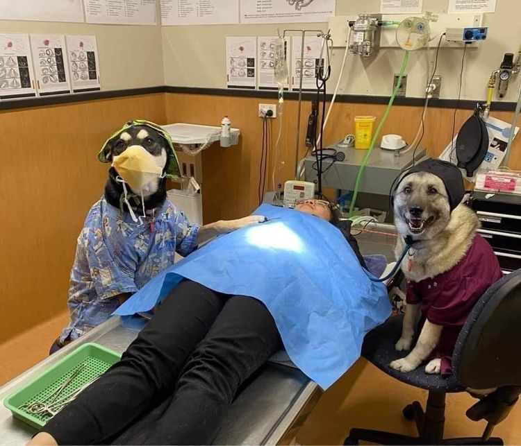 03-14-45-1648035950728931064