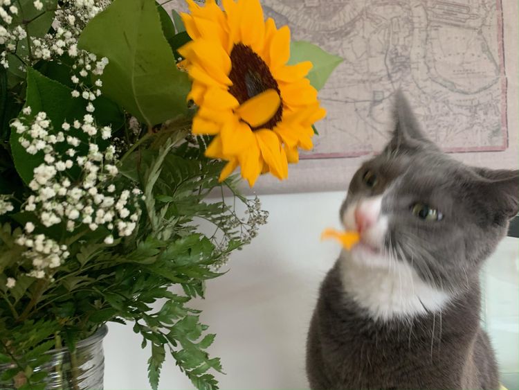 03-14-49-16481225851343722285