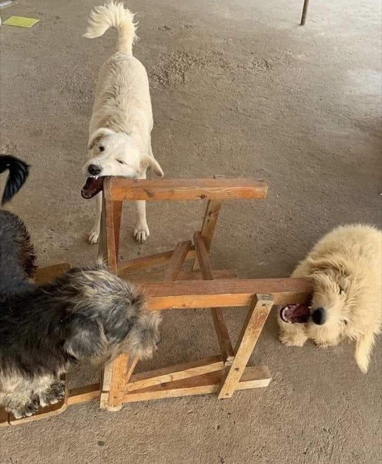 03-14-49-16481225881215862016