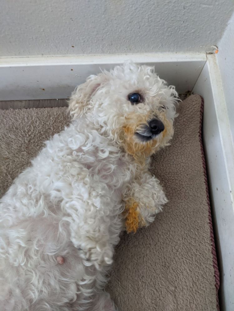 03-14-50-1648122600720468814