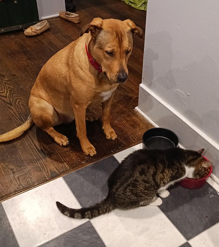 03-14-50-16481226031827055003