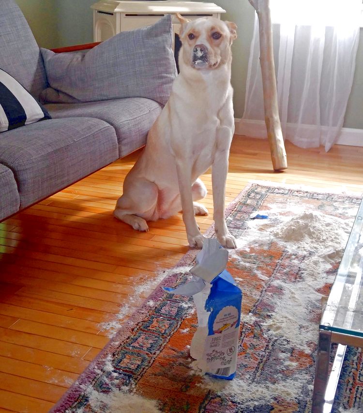 03-14-50-164812260817774591