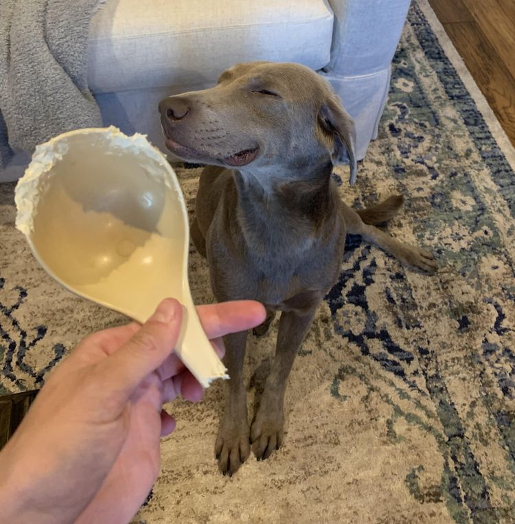 03-14-50-164812263216038338