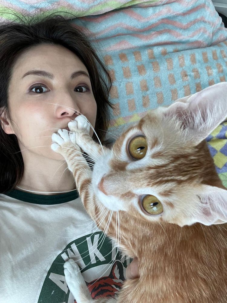 03-14-50-1648122637445208724