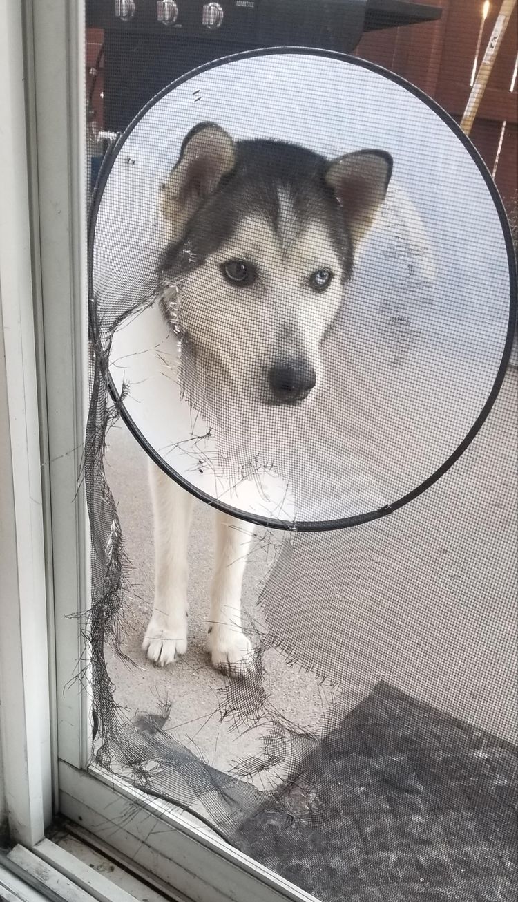 03-14-50-1648122639176114070