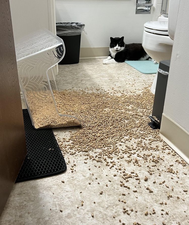 03-14-51-16481226961695779000