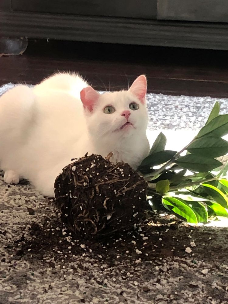 03-14-51-16481227021943805935