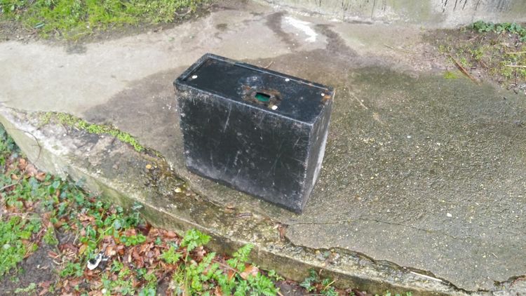 03-15-05-16482099521354142451