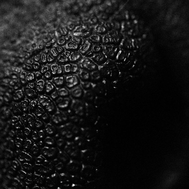 03-15-32-16479523791837065420