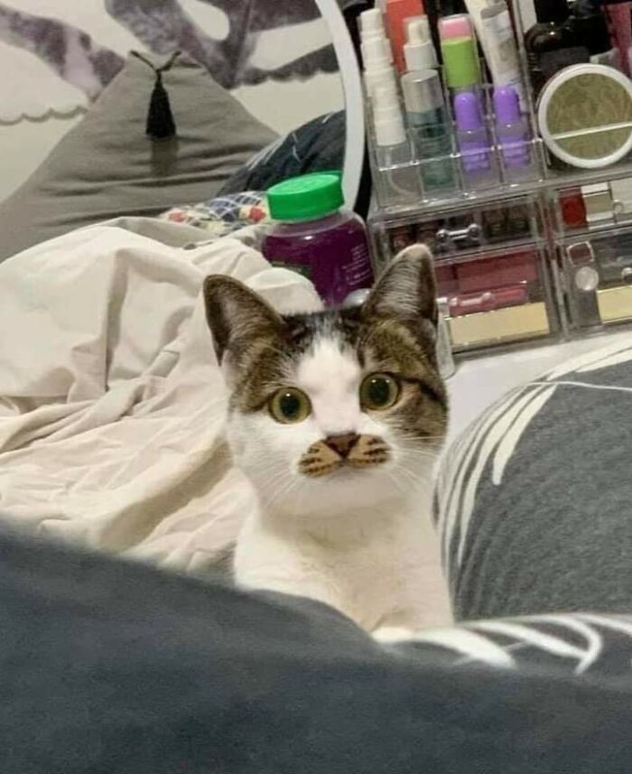 03-15-32-16486435491903227893