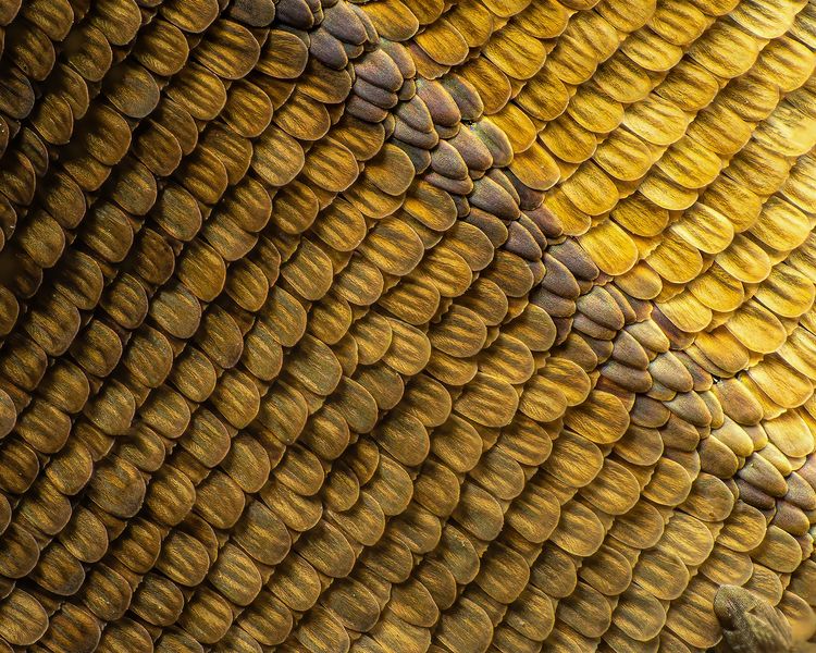 03-15-33-16479523881664197691