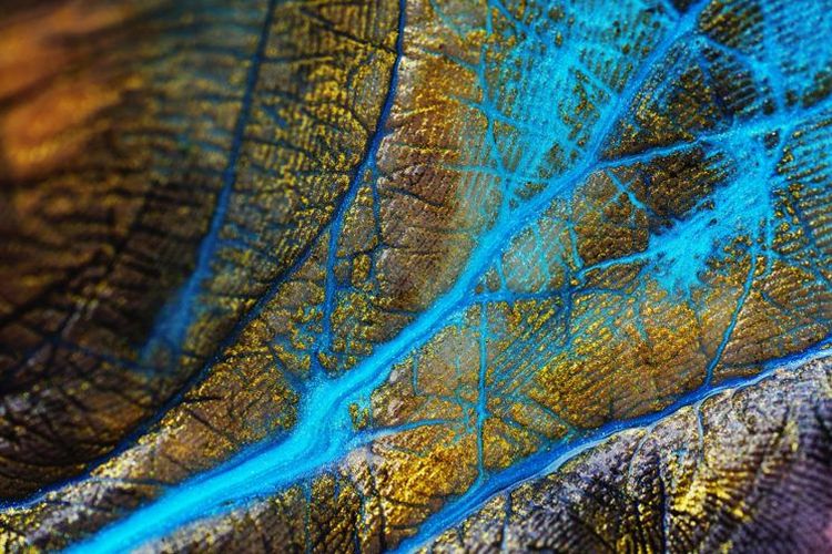 03-15-33-1647952395170157415