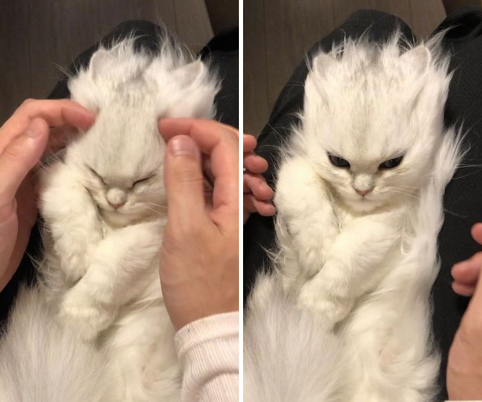 03-15-33-16486435971707540515