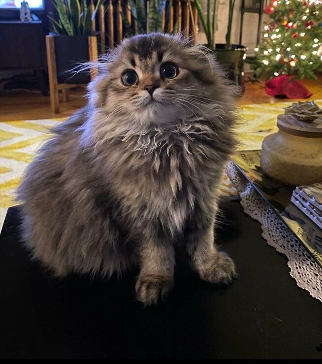 03-15-34-16486436531935578154