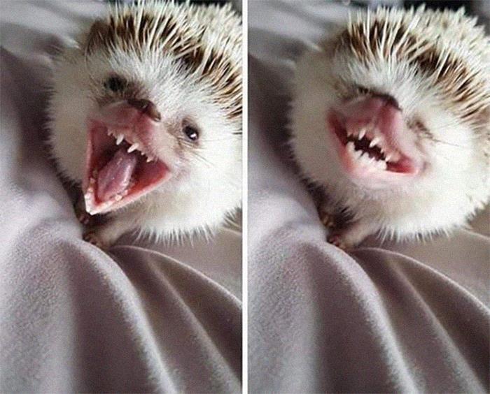 03-15-34-1648643656137486232