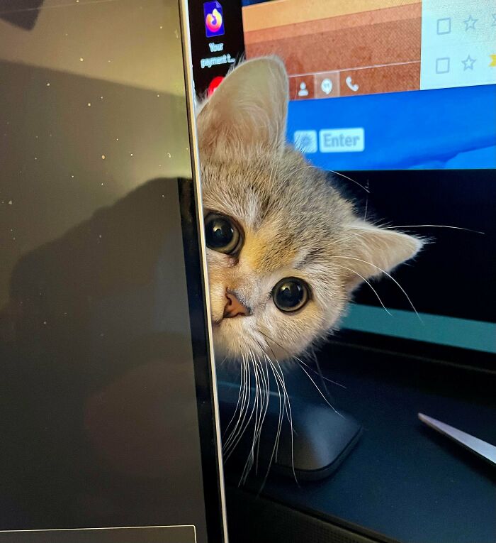 03-15-34-1648643661205134542