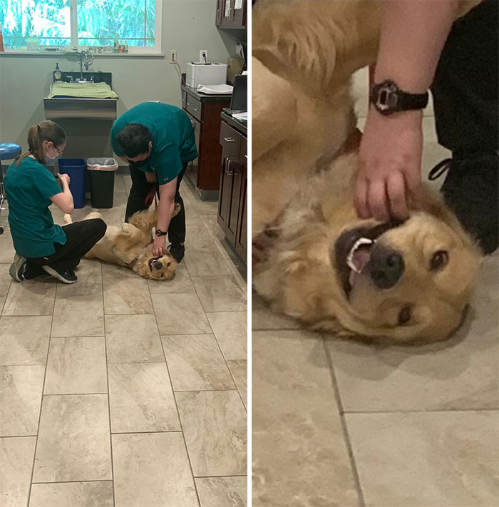 03-15-48-16463117362119302253