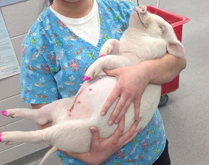 03-15-49-1646311743770373236