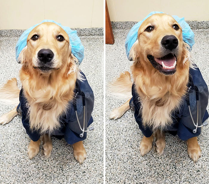 03-15-49-16463117501032072163