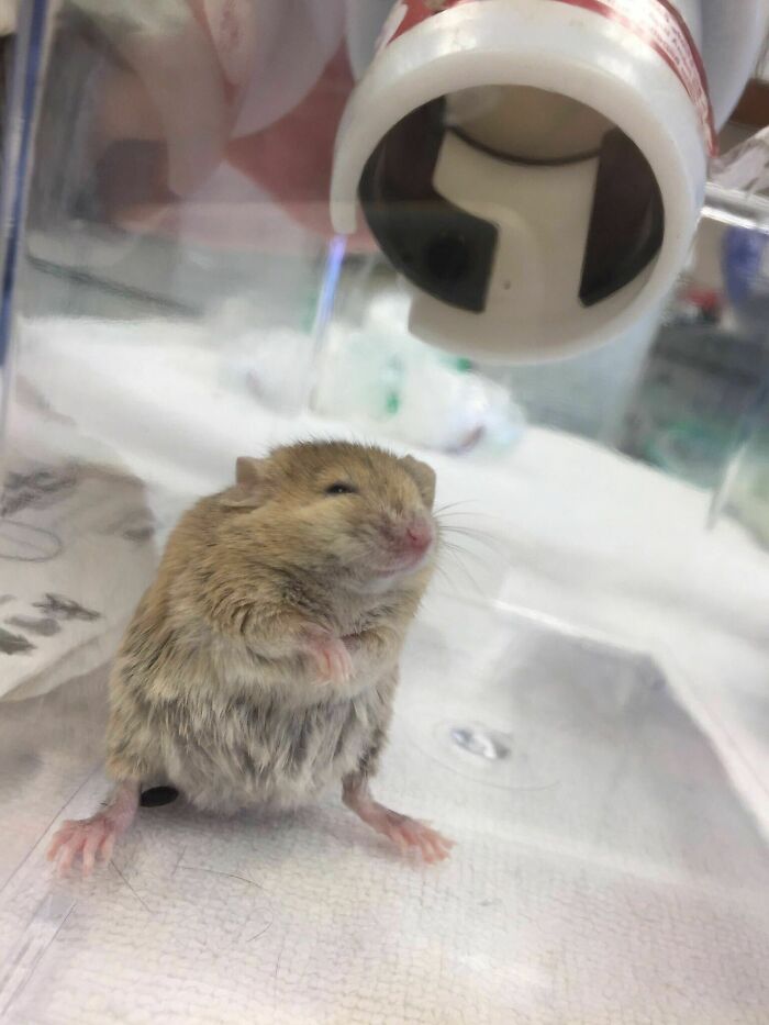 03-15-49-1646311765762673521