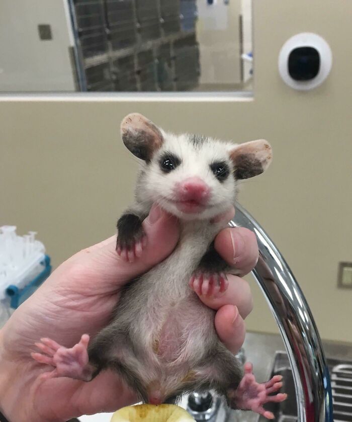 03-15-49-16463117682055729754