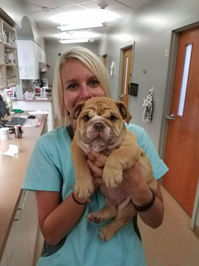 03-15-49-16463117751852722867