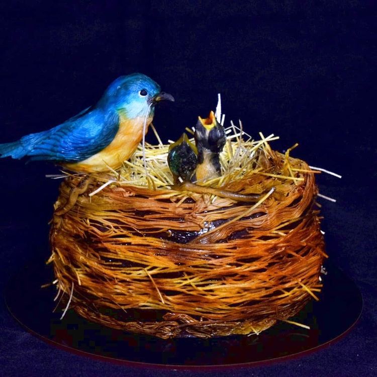 03-15-49-16470029831902853481