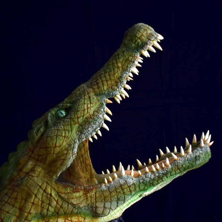 03-15-50-16470030111085615578