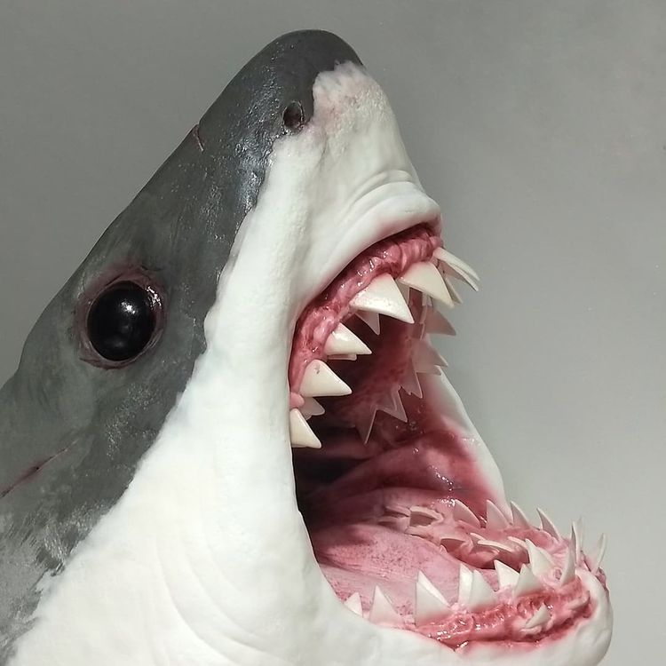 03-15-50-16470030201510258671