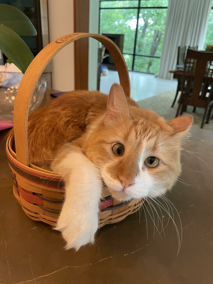 03-16-08-1647608889830875452