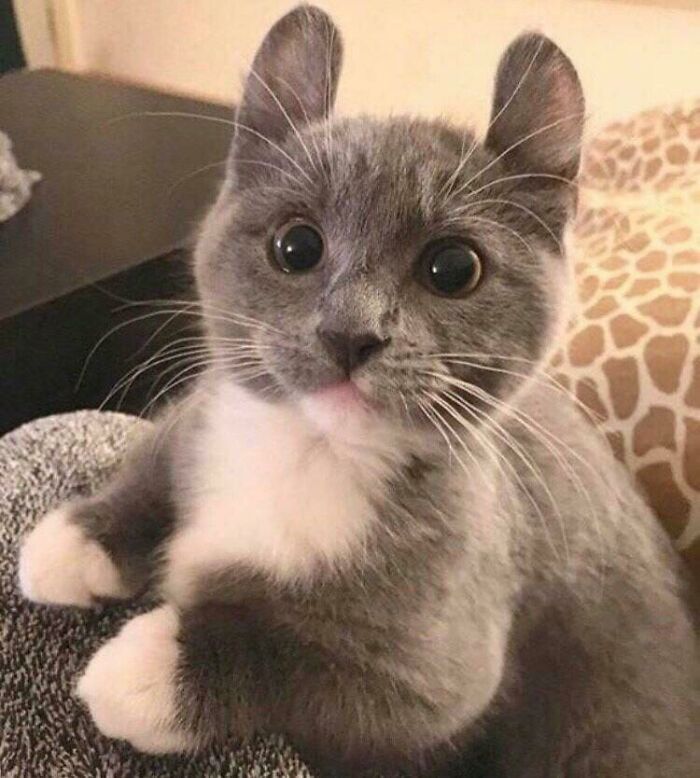 03-16-09-16476089482087671999