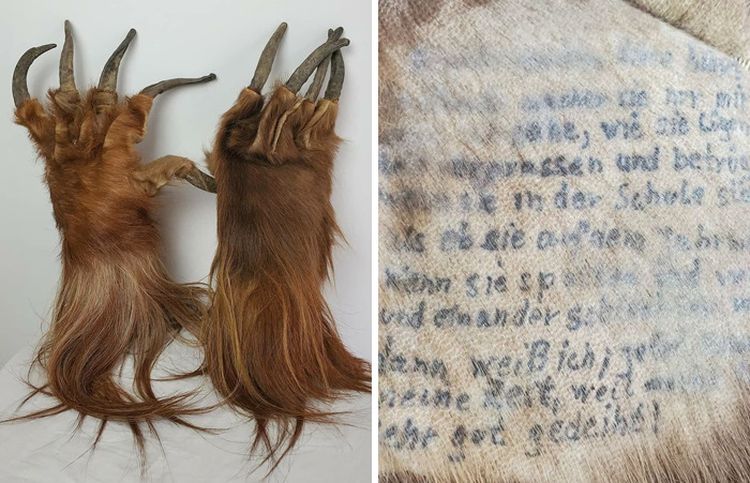 03-16-59-1648043970126284980